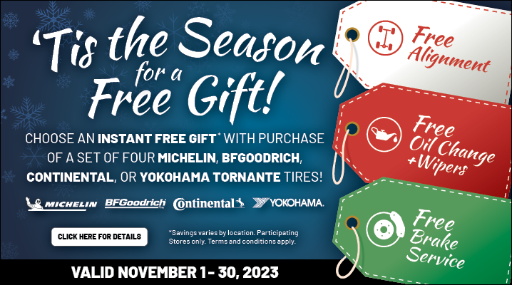 promotion free gift